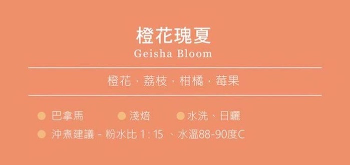 (複製)想望咖啡|果香禮盒 掛耳包 20入(耶加雪夫10入+宏都拉斯10入)