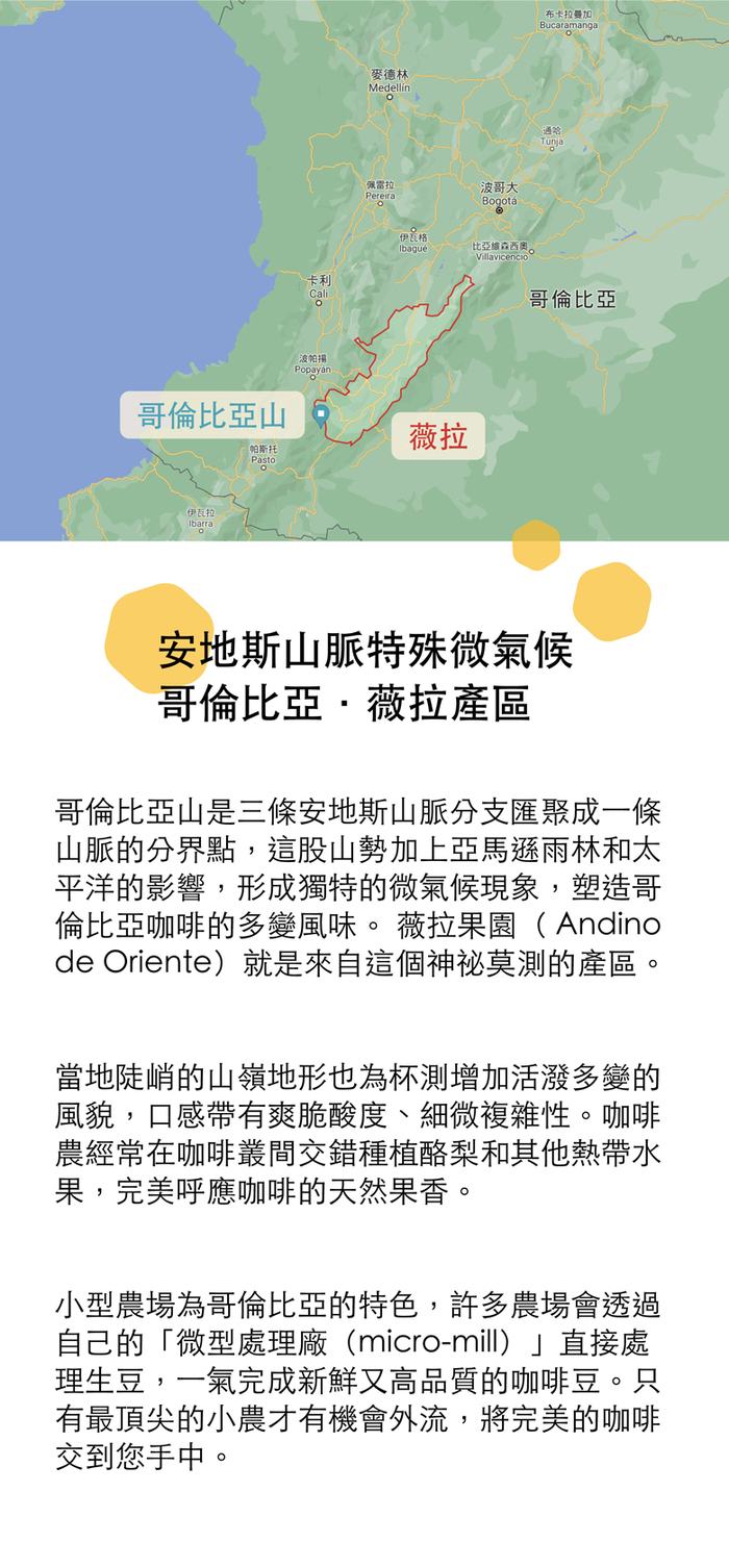 想望咖啡|果香禮盒 掛耳包 20入(耶加雪夫10入+宏都拉斯10入)