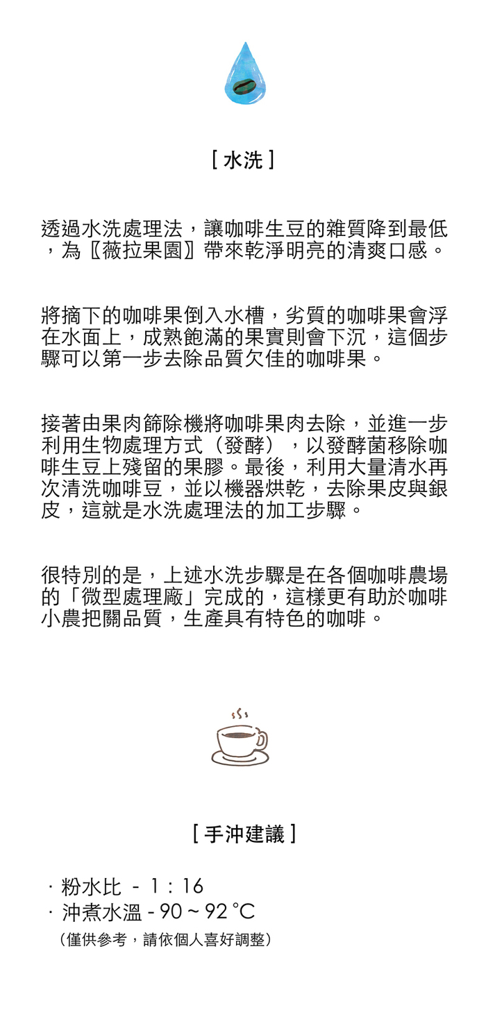 想望咖啡|果香禮盒 掛耳包 20入(耶加雪夫10入+宏都拉斯10入)