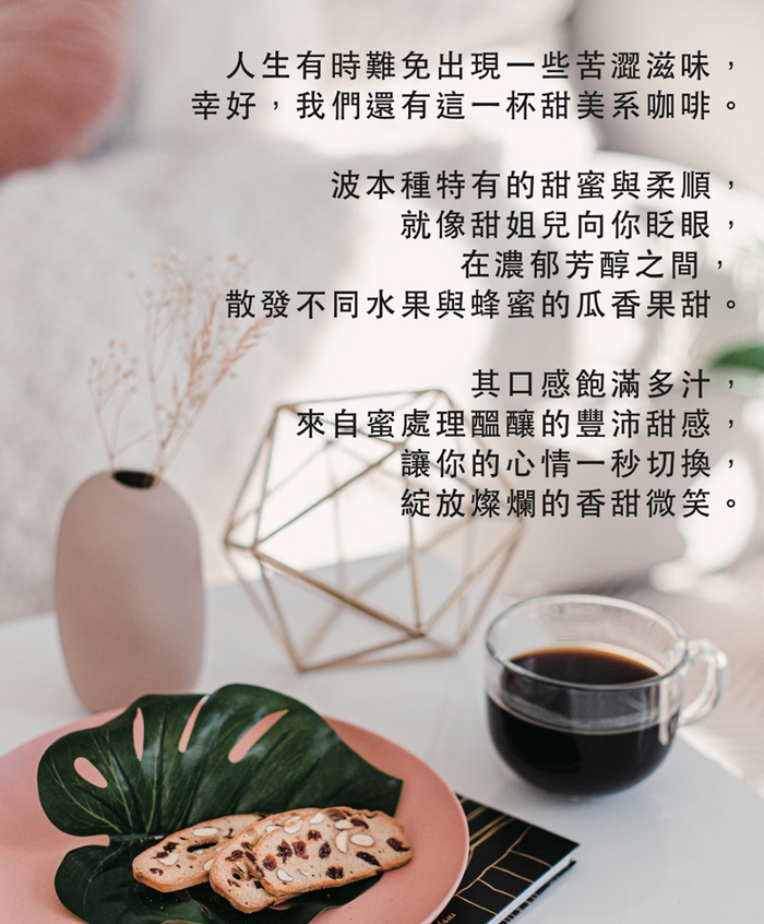 想望咖啡|果香禮盒 掛耳包 20入(薇拉果園AAA 10入+天空之城G1 10入)