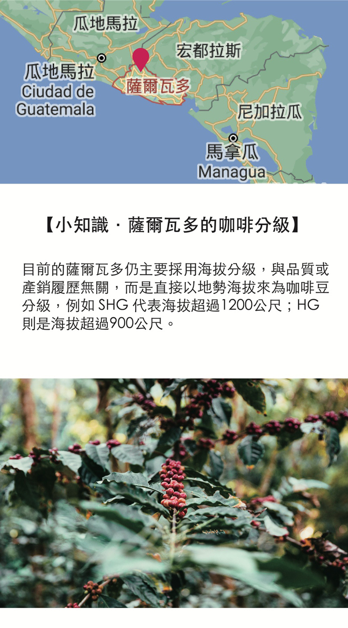 想望咖啡|果香禮盒 掛耳包 20入(薇拉果園AAA 10入+天空之城G1 10入)