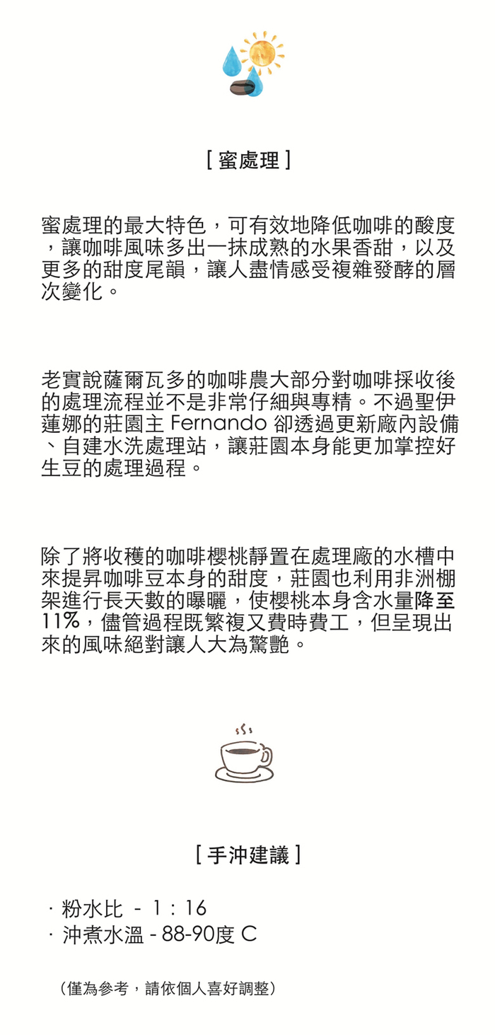 想望咖啡|果香禮盒 掛耳包 20入(薇拉果園AAA 10入+天空之城G1 10入)