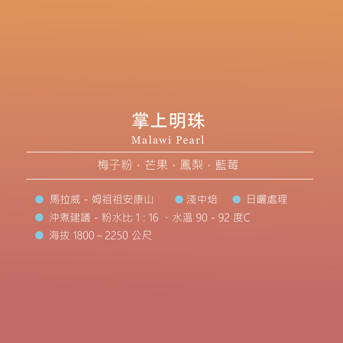 想望咖啡|精選禮盒 掛耳包30入(六款精選風味各5包)