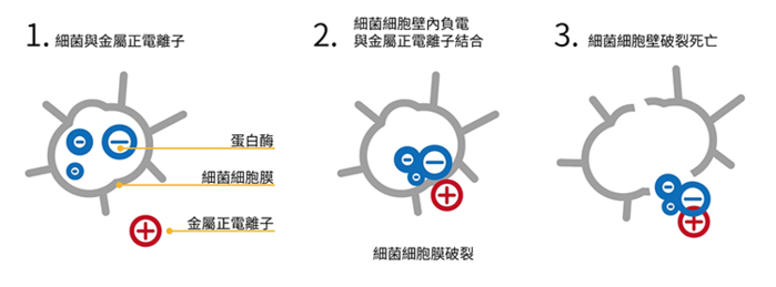 JIA 家|超能抗菌筷(兩雙入)