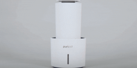 【集購】puripot|光觸媒空氣清淨機(精油擴香/除菌臭/除細塵)