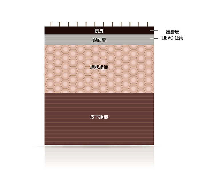 LIEVO|小羊皮名片夾