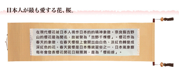 賽先生科學工廠|魔法櫻花10cm