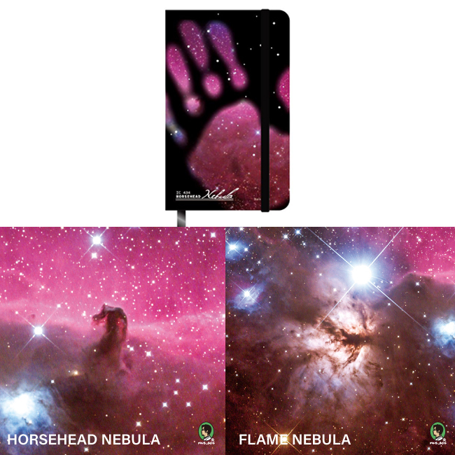 (複製)賽先生科學工廠|科學浴簾-手稿地圖浴簾