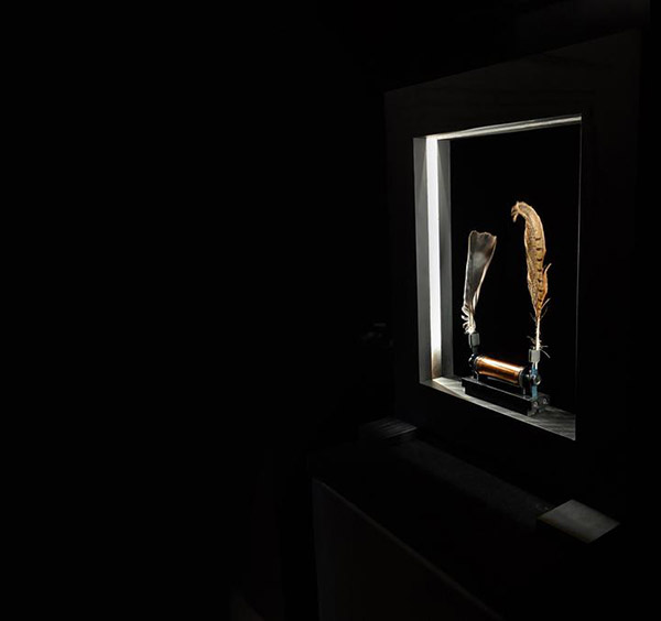 賽先生科學工廠|Slow Dance 慢動作藝術裝置畫框