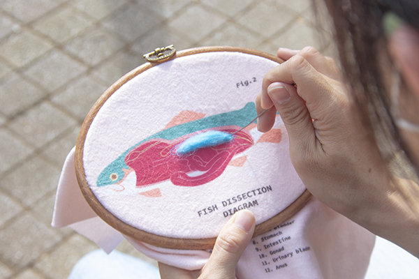 賽先生科學工廠|After School - 生物解剖羊毛氈刺繡套組