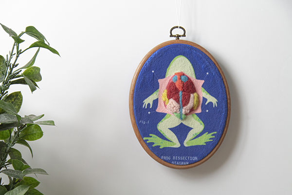 賽先生科學工廠|After School - 生物解剖羊毛氈刺繡套組