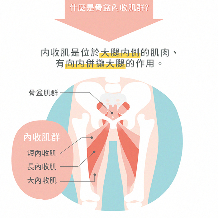 【贈品】PROIDEA|多功能電動全身骨盆按摩器