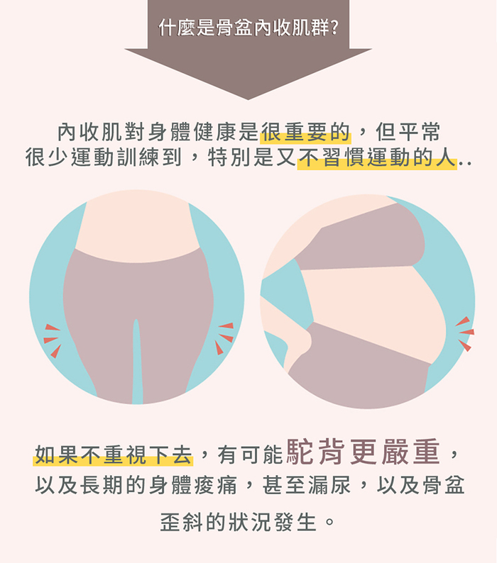 【贈品】PROIDEA|多功能電動全身骨盆按摩器
