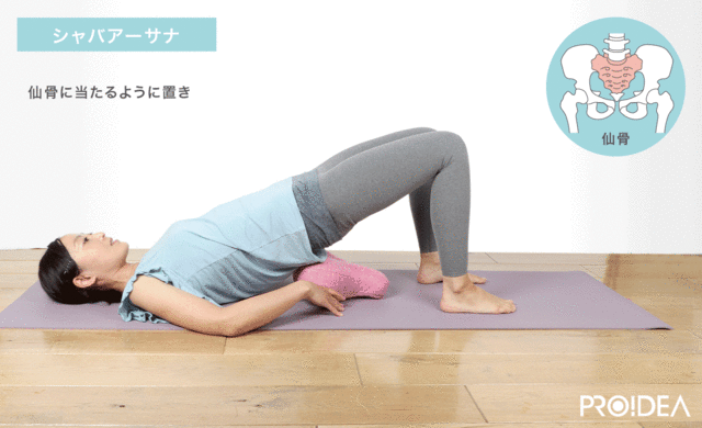 【贈品】PROIDEA|多功能電動全身骨盆按摩器
