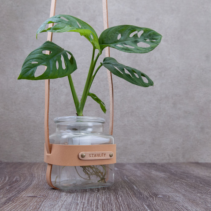 (複製)Be Two|水耕植物皮革吊盆 自動給水式