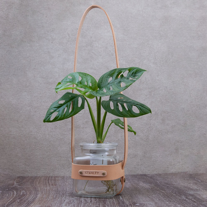 (複製)Be Two|水耕植物皮革吊盆 自動給水式