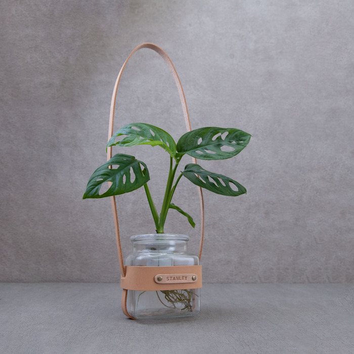 (複製)Be Two|水耕植物皮革吊盆 自動給水式