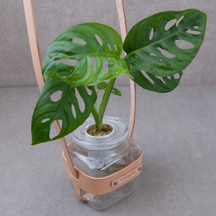 (複製)Be Two|水耕植物皮革吊盆 自動給水式