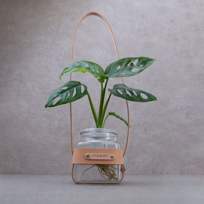 (複製)Be Two|水耕植物皮革吊盆 自動給水式