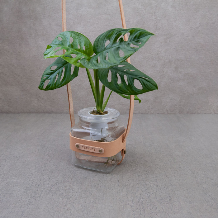 (複製)Be Two|水耕植物皮革吊盆 自動給水式