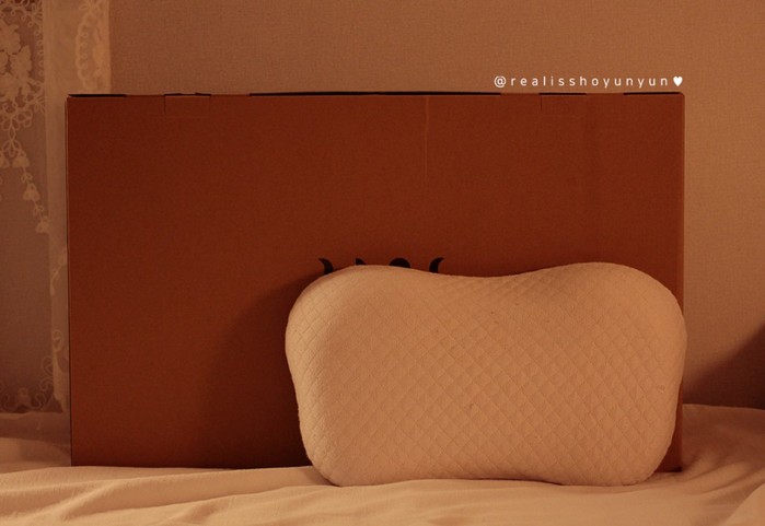 【集購】韓國 Sleep Gonggam | 純天然牛奶乳膠枕