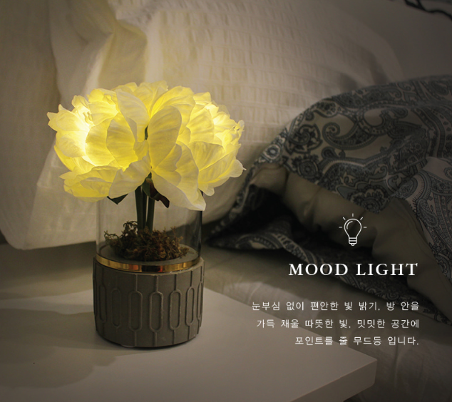 韓國 Via K Studio | LED仿真花夜燈-牡丹盆栽