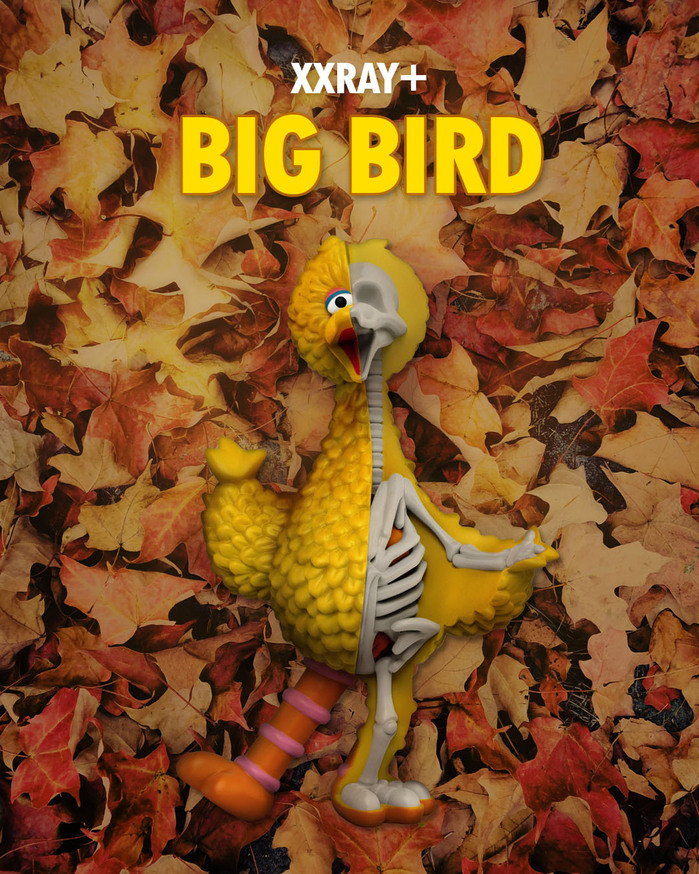 【集購】XXRAY PLUS|原廠授權 芝麻街 Big Bird 半剖公仔 (25.5cm)