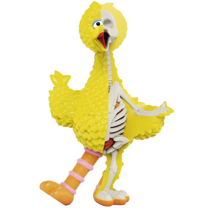 【集購】XXRAY PLUS|原廠授權 芝麻街 Big Bird 半剖公仔 (25.5cm)