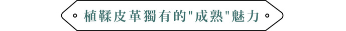 【集購】hallelujah|TIDY 2.0小長夾