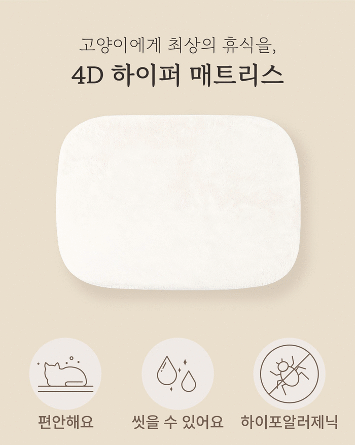 【集購】JELLY BREAD|Sooak Bag 貓咪兩用包