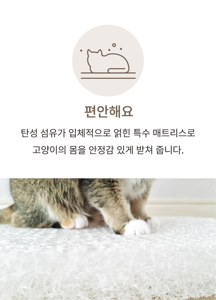 【集購】JELLY BREAD|Sooak Bag 貓咪兩用包