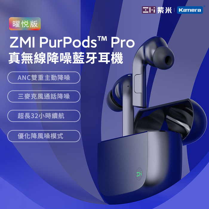 ZMI紫米|PurPods Pro TW-100 真無線降噪耳機-石墨灰+USB充電器+耳機套(隨機)