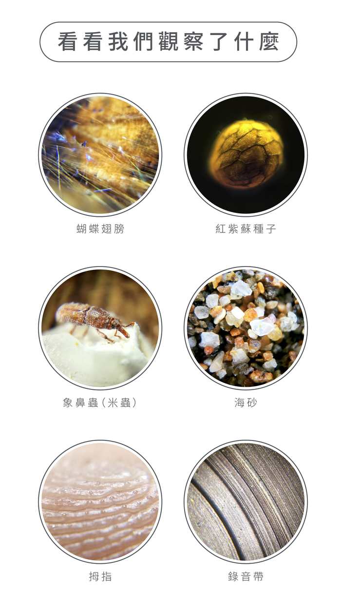 uHandy| Lite(白)