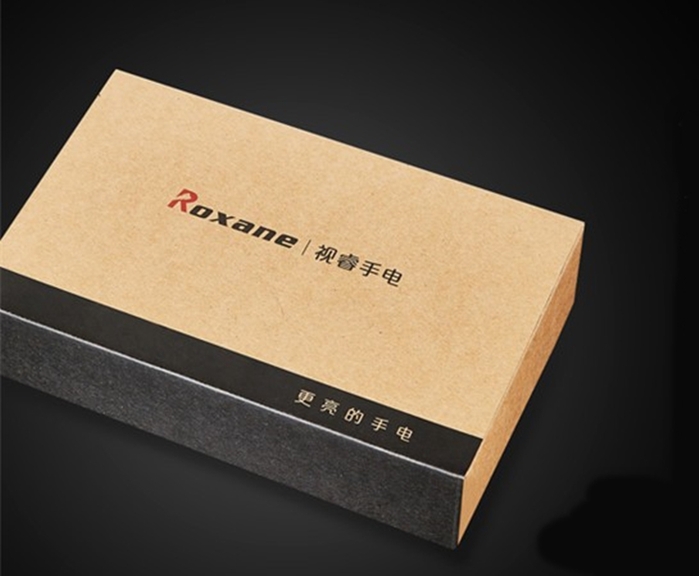 Roxane視睿|Cree XPL2 V4防水IPX6攝影補光強光手電筒組(S6)