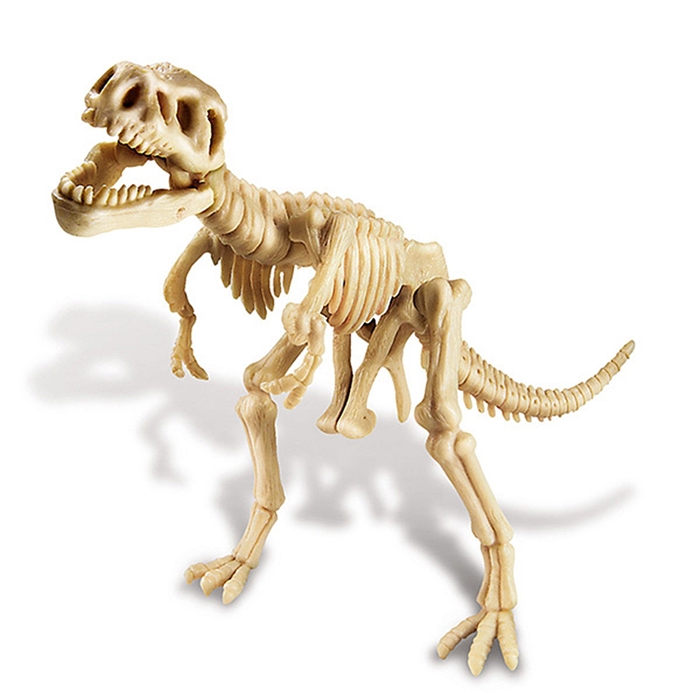 4M|科學考古Tyrannosaurus Rex Skeleton挖掘暴龍霸王龍化石骨骼兒童教育用 ( 00-03221 )