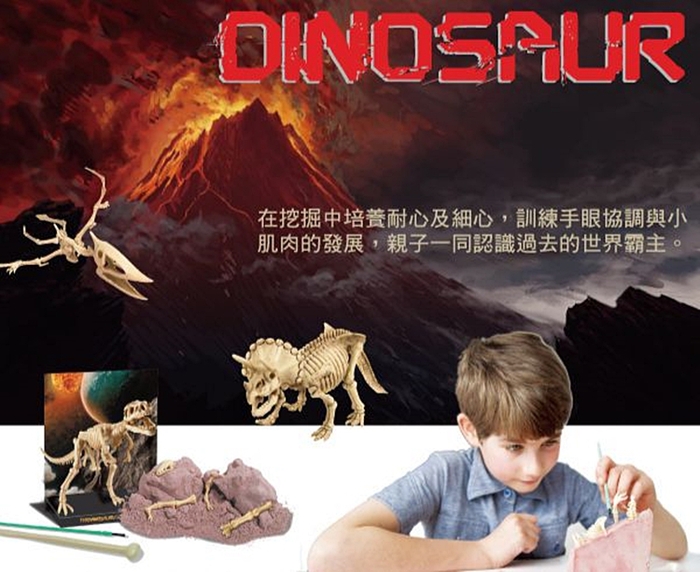 4M|科學考古Tyrannosaurus Rex Skeleton挖掘暴龍霸王龍化石骨骼兒童教育用 ( 00-03221 )
