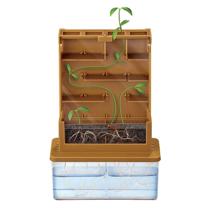 4M|綠色科學Green Science Grow-A-Mate植物迷宮 (00-03352)