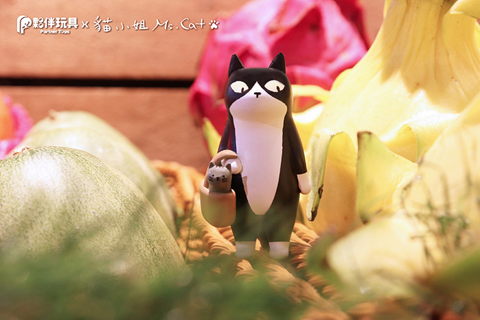 【集購】貓小姐Ms.Cat|喵的菜市場 扭蛋公仔全套6入