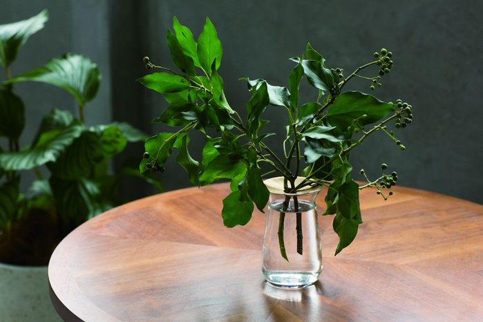(複製)KINTO|POUROVER KETTLE 迷你手沖壺 430ml 不銹鋼