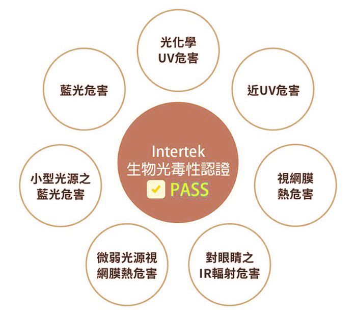 【集購】VentiFresh|全新森林版 UVC除菌升級 光觸媒空氣淨化器