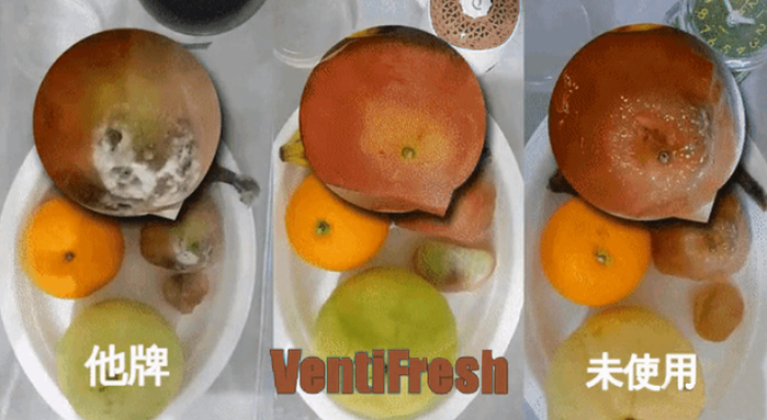 【集購】VentiFresh|全新森林版 UVC除菌升級 光觸媒空氣淨化器