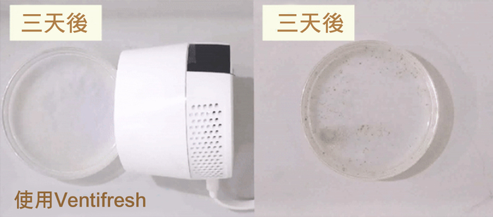 【集購】VentiFresh|全新森林版 UVC除菌升級 光觸媒空氣淨化器