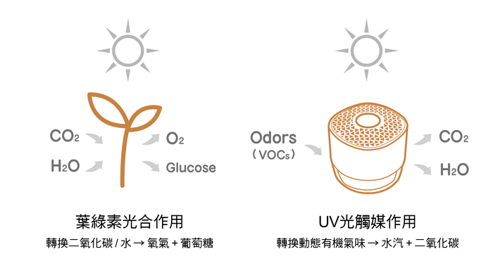 【集購】VentiFresh|全新森林版 UVC除菌升級 光觸媒空氣淨化器
