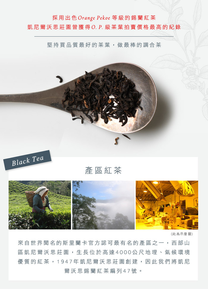 Whittard|凱尼爾沃思錫蘭紅茶 Ceylon Kenilworth NO.47