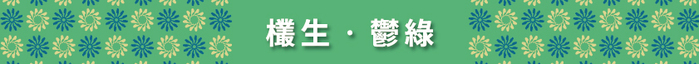 【集購】ARTEX x印花樂|鋼筆墨水禮盒|不用選全帶走
