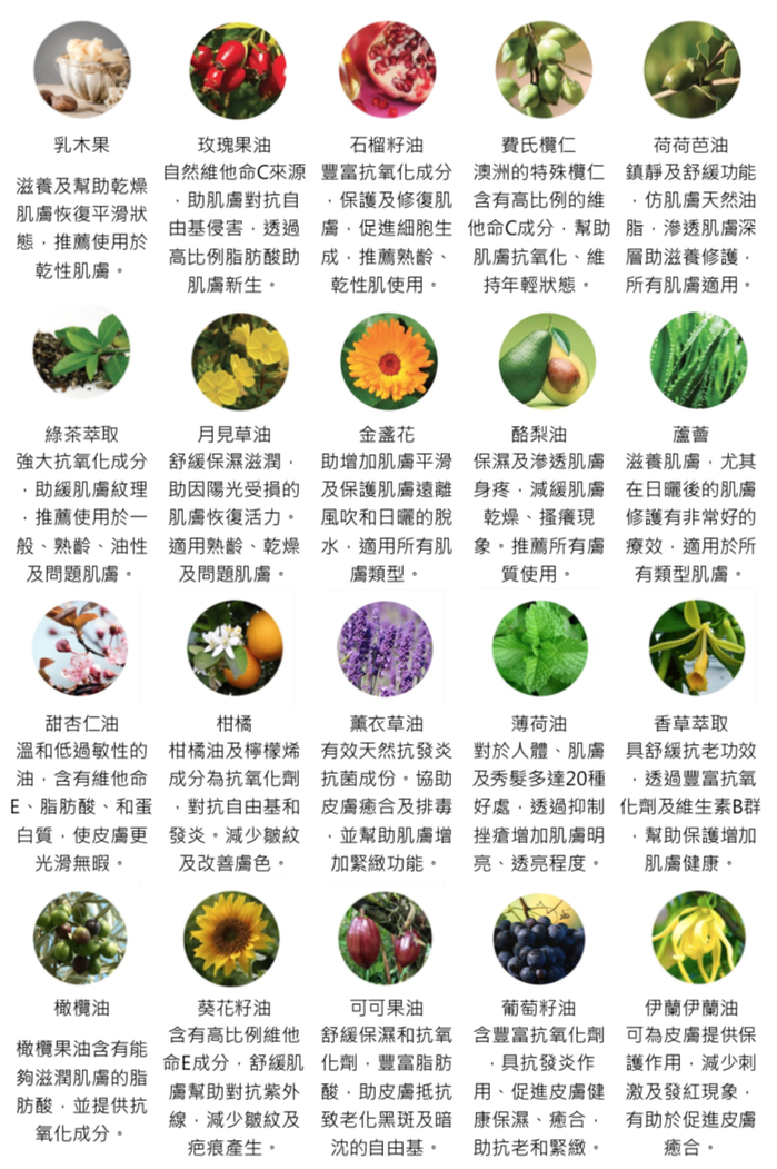 (複製)THAT!|奇想鮮解凍-摩登款