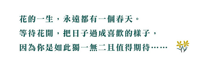 兔兔迎春小春聯(5入/組)