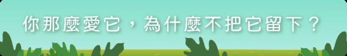 Changsin|多用途露營摺疊邊桌