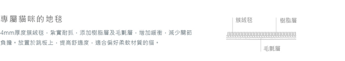 Hug|抱抱貓跳台 - 豪配款