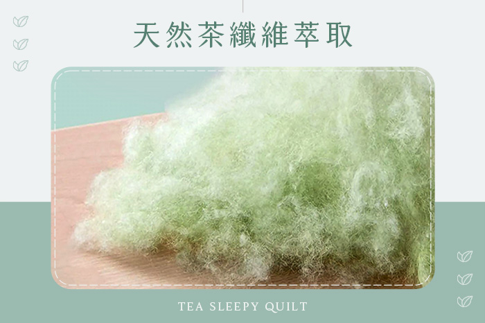 IDÉE LIVING 伊德生活|四季恆溫 可水洗抑菌 茶眠被 (超值雙入組)